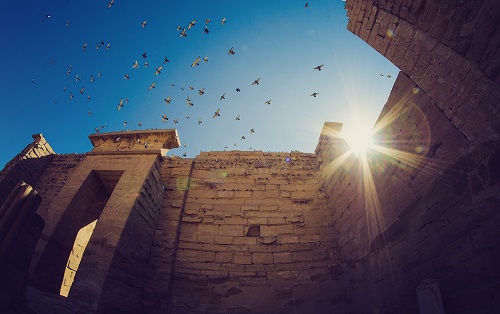 luxor temple