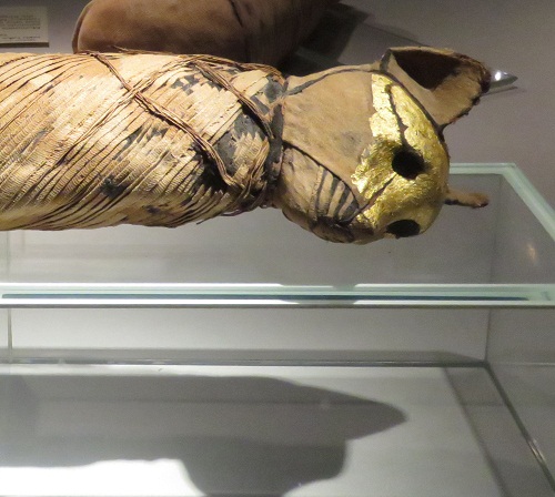 Tour to Luxor Museum and Mummification Museum Tour to Luxor Museum and Mummification Museum