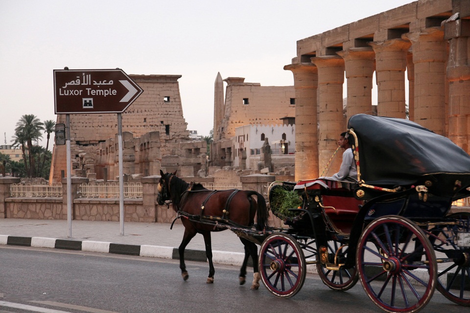 Luxor City tour by Horse Carriage Luxor City tour by Horse Carriage