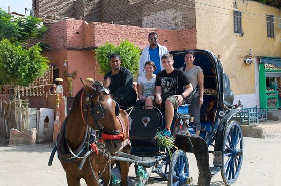 Luxor City tour by Horse Carriage Luxor City tour by Horse Carriage
