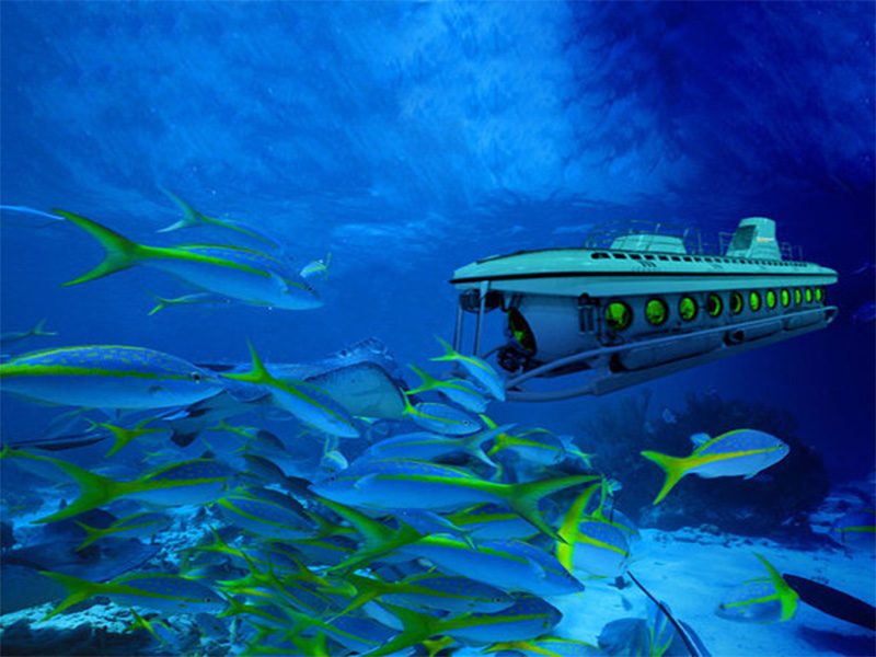 Sindbad Submarine Tour in Hurghada Sindbad Submarine Tour in Hurghada