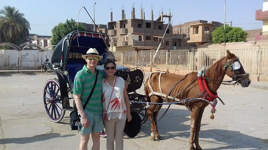 Aswan City Tour in Horse Carriage Aswan City Tour in Horse Carriage