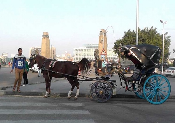 Aswan City Tour in Horse Carriage Aswan City Tour in Horse Carriage