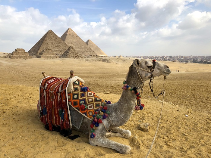 Camel Ride Trip at the Pyramids Camel Ride Trip at the Pyramids