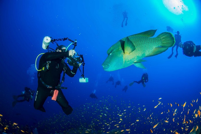 Scuba diving Marsa Alam Scuba diving Marsa Alam