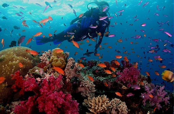 Scuba diving Marsa Alam Scuba diving Marsa Alam