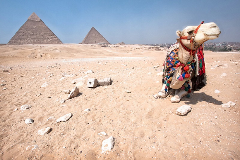 2 Day Cairo and Luxor from Marsa Alam by Flight 2 Day Cairo and Luxor from Marsa Alam by Flight