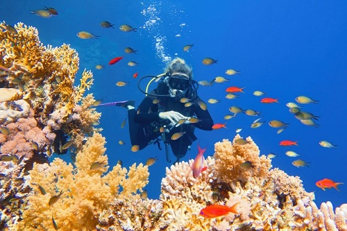 6 Day Cairo, Luxor and Hurghada Tour 6 Day Cairo, Luxor and Hurghada Tour