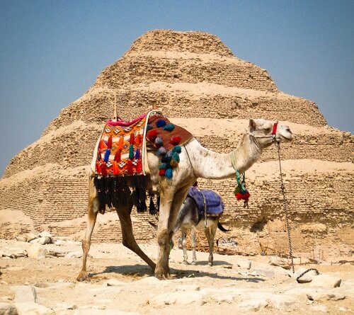 15 Day Egypt and Jordan Trip (Cairo, Nile Cruise and Dahab) 15 Day Egypt and Jordan Trip (Cairo, Nile Cruise and Dahab)