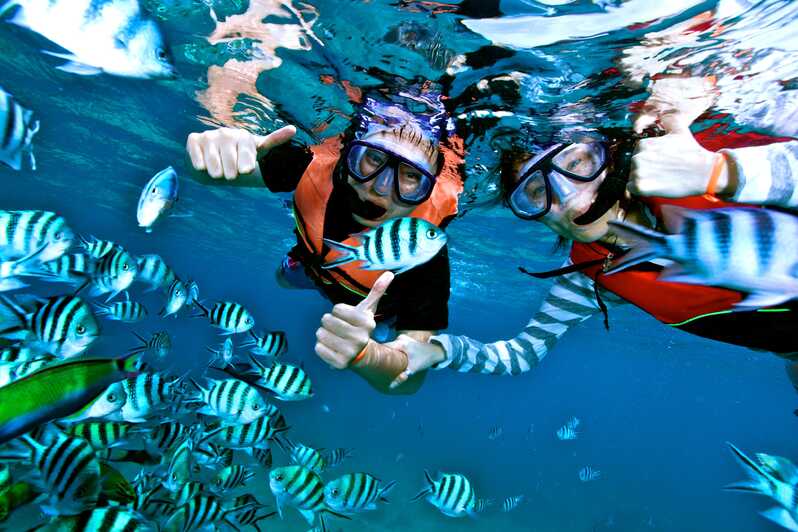Snorkeling at Mahmya Island Snorkeling at Mahmya Island