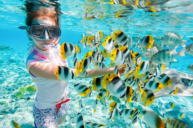 Snorkeling Trip to Tiran Island Snorkeling Trip to Tiran Island