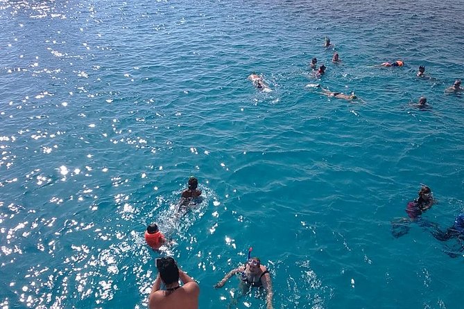 Snorkeling Trip to Tiran Island Snorkeling Trip to Tiran Island