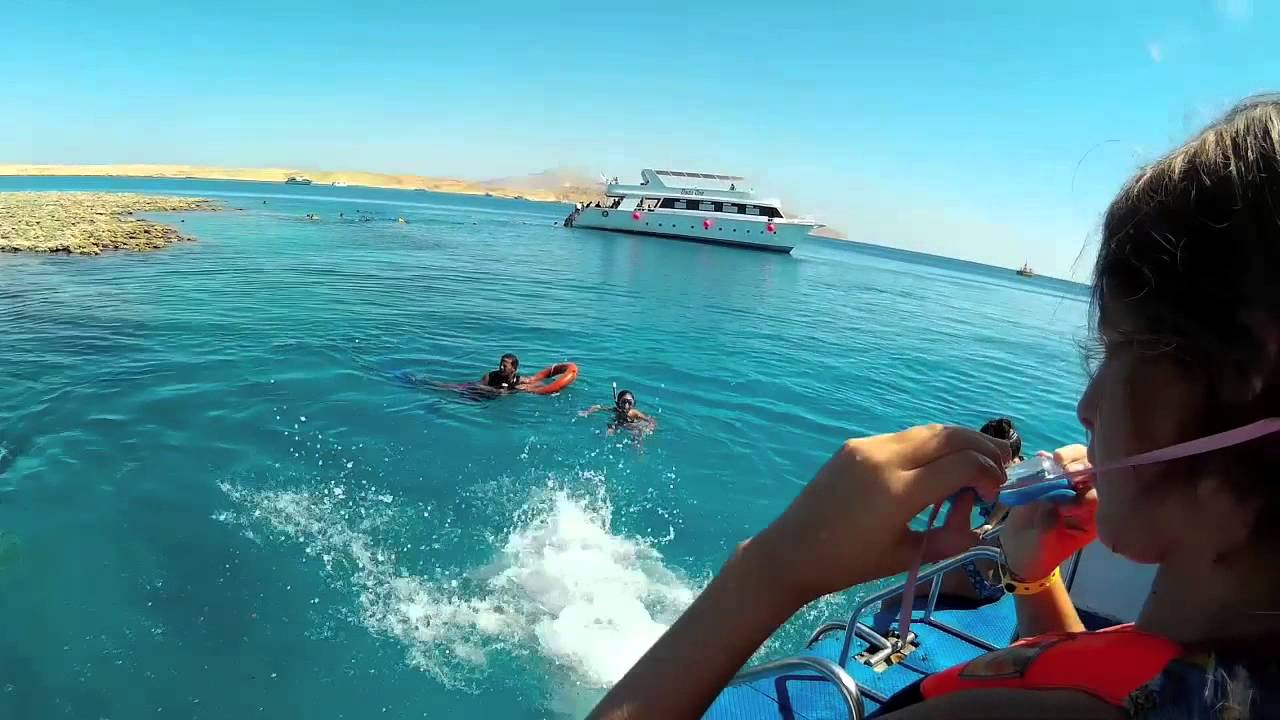 Snorkeling Trip to Tiran Island Snorkeling Trip to Tiran Island