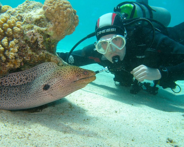 Scuba diving Marsa Alam Scuba diving Marsa Alam