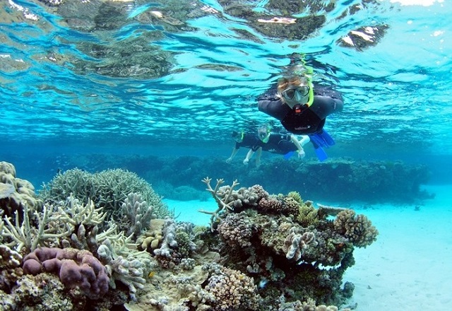 Snorkeling Trip At Port Ghalib Marina from Marsa Alam Snorkeling Trip At Port Ghalib Marina from Marsa Alam