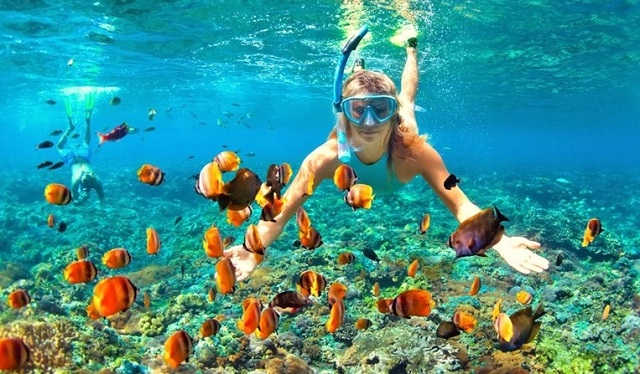 Snorkeling Trip At Port Ghalib Marina from Marsa Alam Snorkeling Trip At Port Ghalib Marina from Marsa Alam