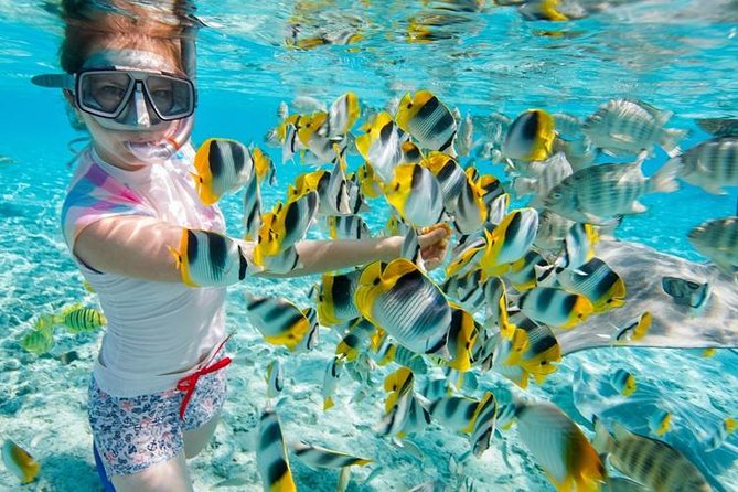 Snorkeling Trip & Excursion from Safaga Port Snorkeling Trip & Excursion from Safaga Port