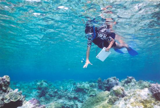 Snorkeling Trip & Excursion from Safaga Port Snorkeling Trip & Excursion from Safaga Port