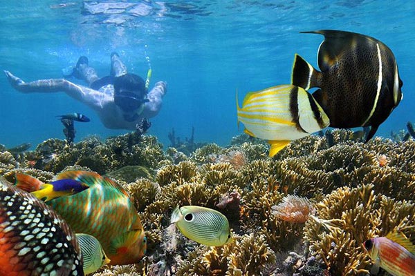 Snorkeling Trip & Excursion from Safaga Port Snorkeling Trip & Excursion from Safaga Port