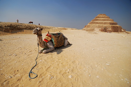 Cairo Tour from Alexandria Return to PortSaid Cairo Tour from Alexandria Return to PortSaid