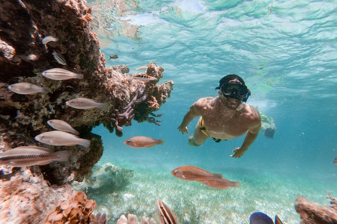 Snorkeling Tours in Aqaba Snorkeling Tours in Aqaba
