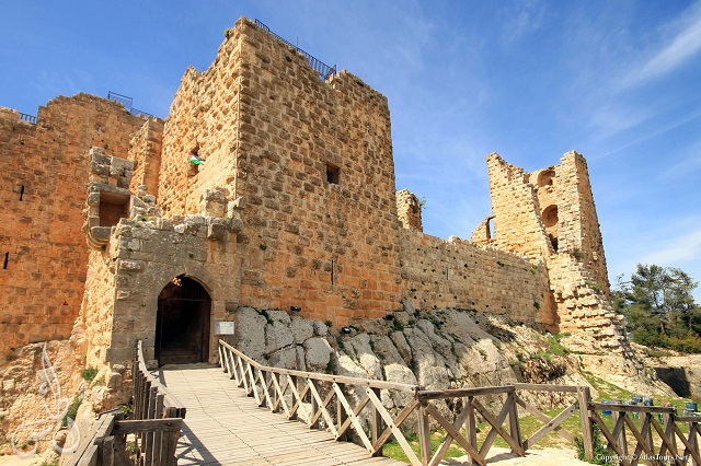 Day Tour to Jerash, Ajloun and Umm Qais from Amman Day Tour to Jerash, Ajloun and Umm Qais from Amman