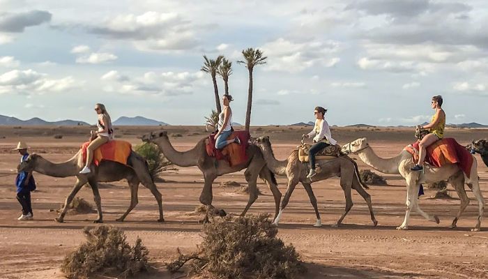 Marrakech Camel Riding Marrakech Camel Riding