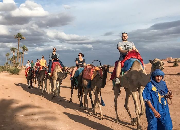 Marrakech Camel Riding Marrakech Camel Riding