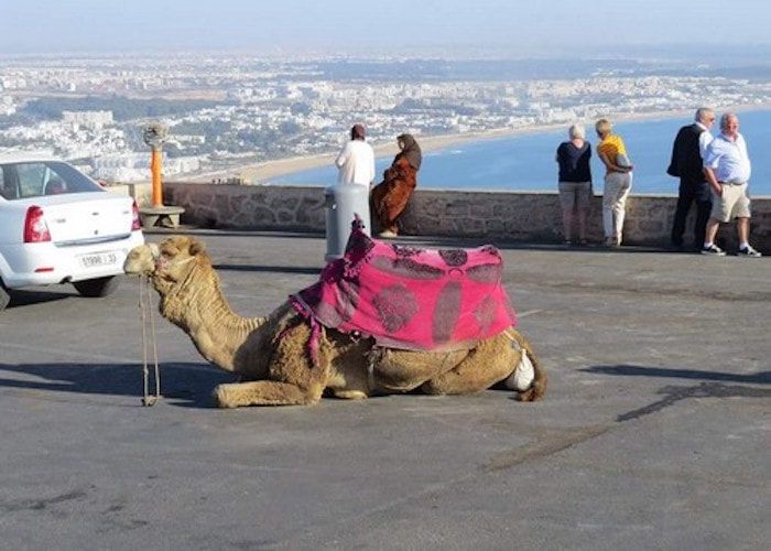 Agadir City Tour Agadir City Tour