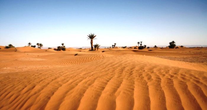 Sahara Tour from Agadir Sahara Tour from Agadir