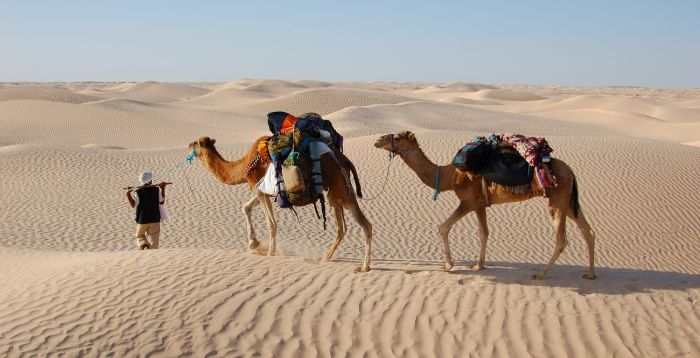 9 Days Tunisia Tour With Djerba Island 9 Days Tunisia Tour With Djerba Island