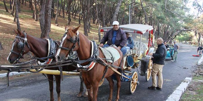 Princes Islands Tour from Istanbul Princes Islands Tour from Istanbul