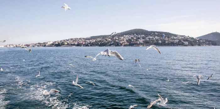 Princes Islands Tour from Istanbul Princes Islands Tour from Istanbul
