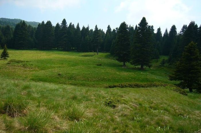 Green Bursa Tour Istanbul Green Bursa Tour Istanbul