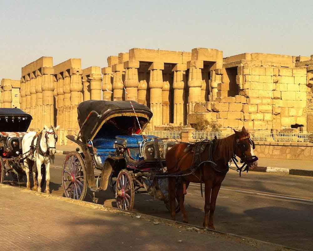 Excursão pela cidade de Luxor de carruagem a cavalo