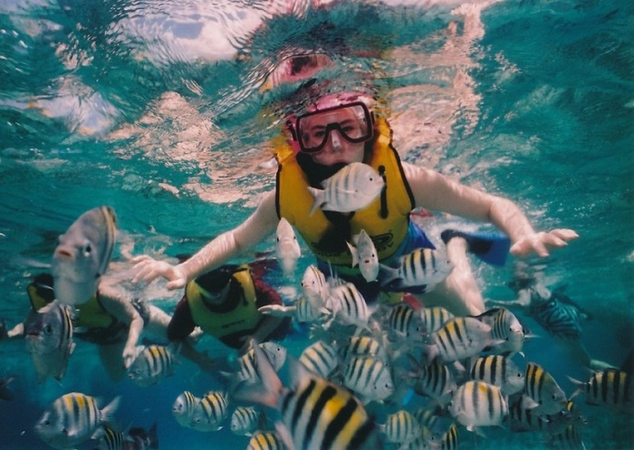 Viagem de mergulho com snorkel para a Ilha Giftun