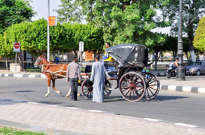 Assuan-Stadtrundfahrt in der Pferdekutsche