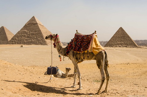 10 jours au Caire, croisière sur le Nil et Charm el-Cheikh