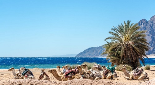 Tour di un giorno a Dahab