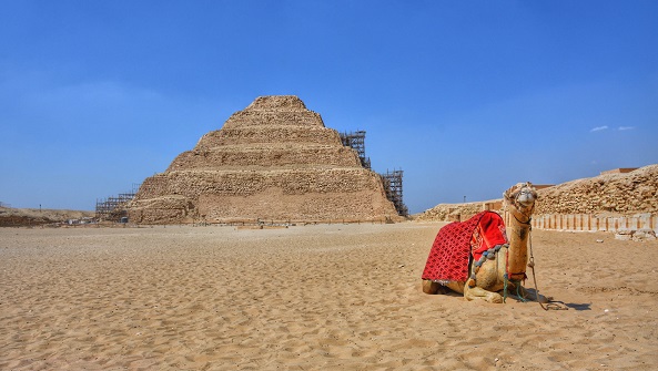 Excursion d'une journée aux pyramides et à Sakkara