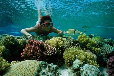 Gita ed escursione di snorkeling dal porto di Safaga