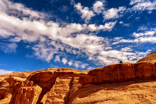 Excursions à Petra et Wadi Rum depuis le port d'Aqaba