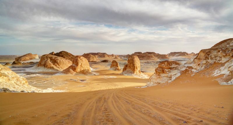 Le désert occidental et l'oasis