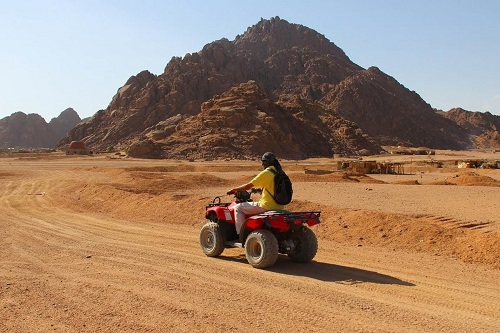 Quad con giro in cammello e cena beduina