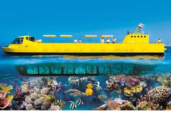 Viaje semisubmarino en Sharm El Sheikh