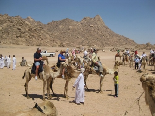 Beduinen-Safari und Sternbeobachtungstour