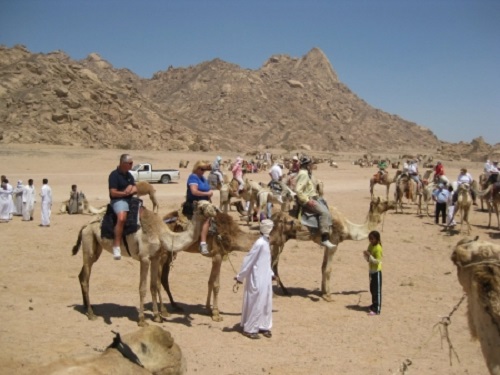 Safari bédouin et visite d'observation des étoiles