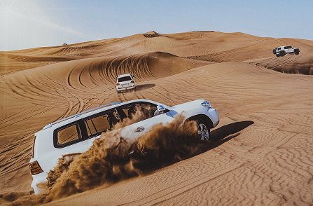 Excursão Deluxe no Safari de Dubai