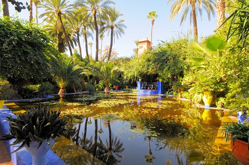 Excursión a Marrakech