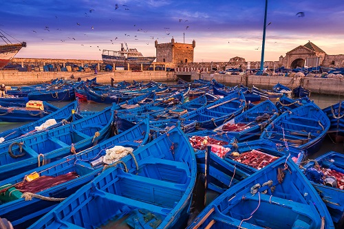 Escursione di un giorno a Essaouira da Marrakech